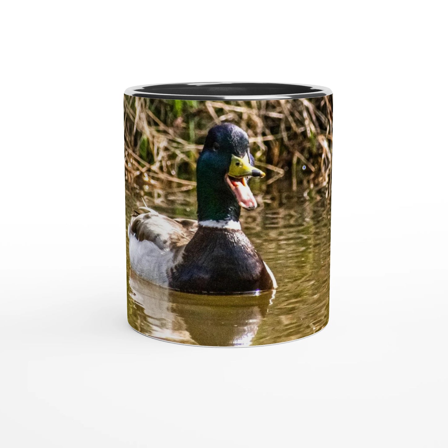 119e76ec-13ee-4b92-b5d4-d0b355ac3a68