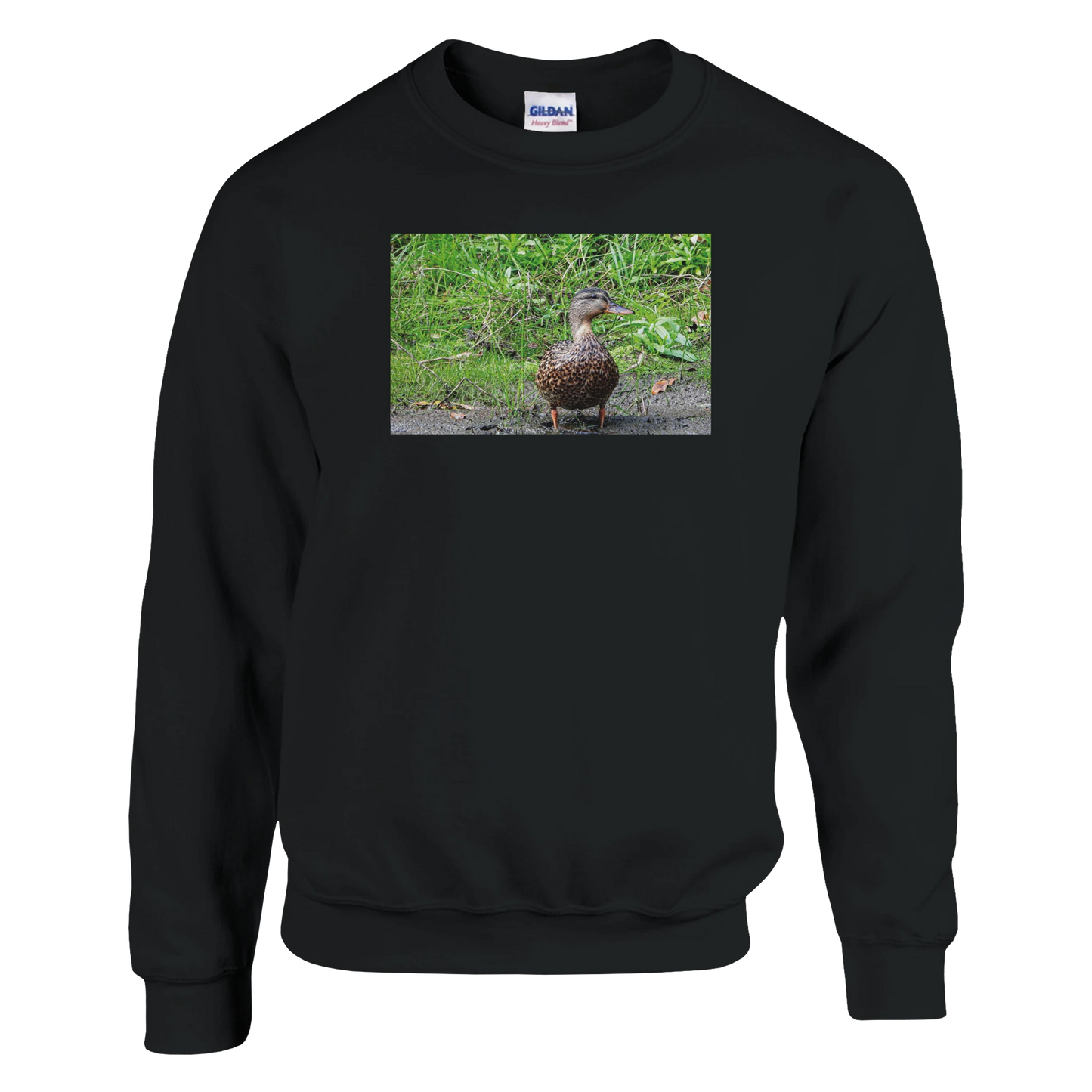 1415cb99-84f8-4c09-b9fa-85fc63fc7b15