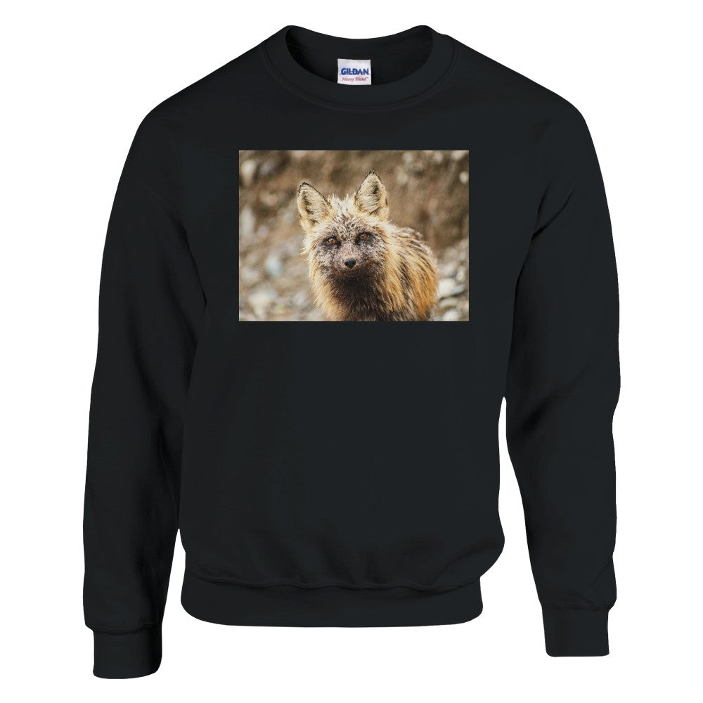 17e55c49-4b16-4b64-8939-c5278363329d