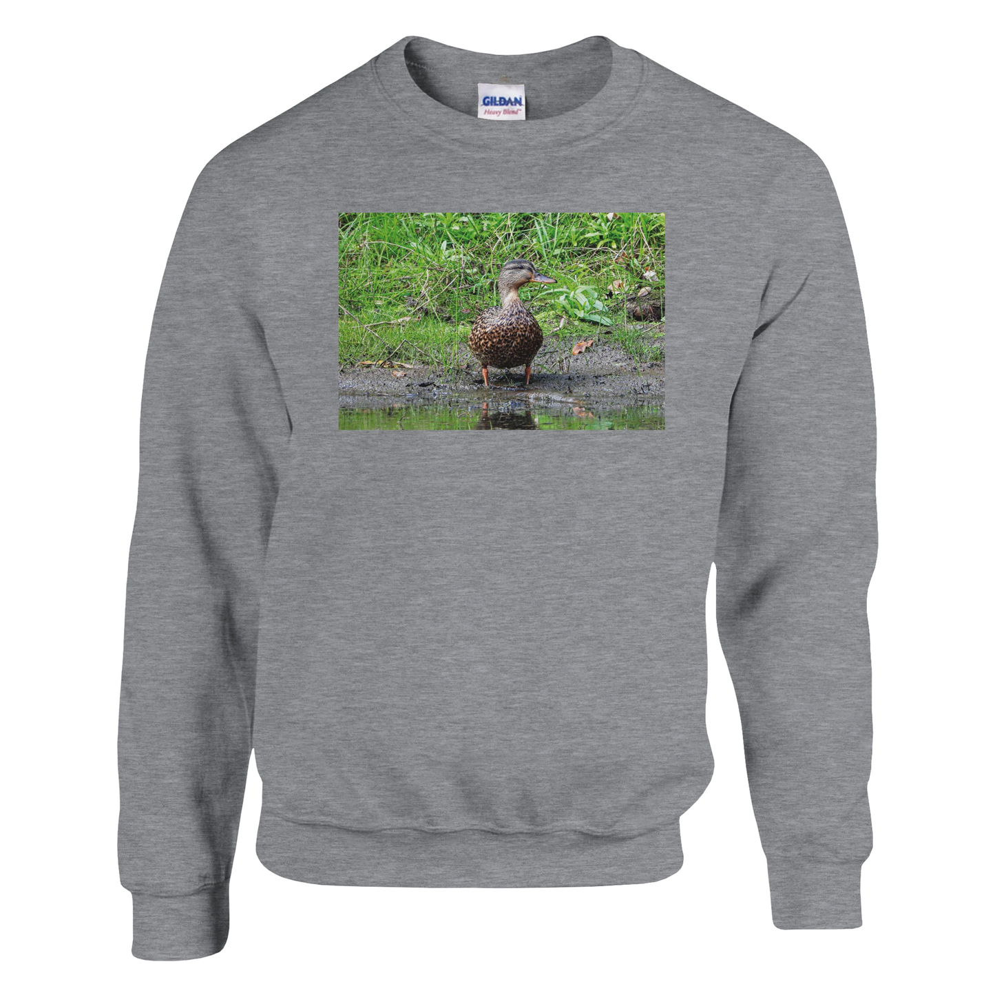 209b8a0b-789c-4444-9ca0-e6c9d76ef55d