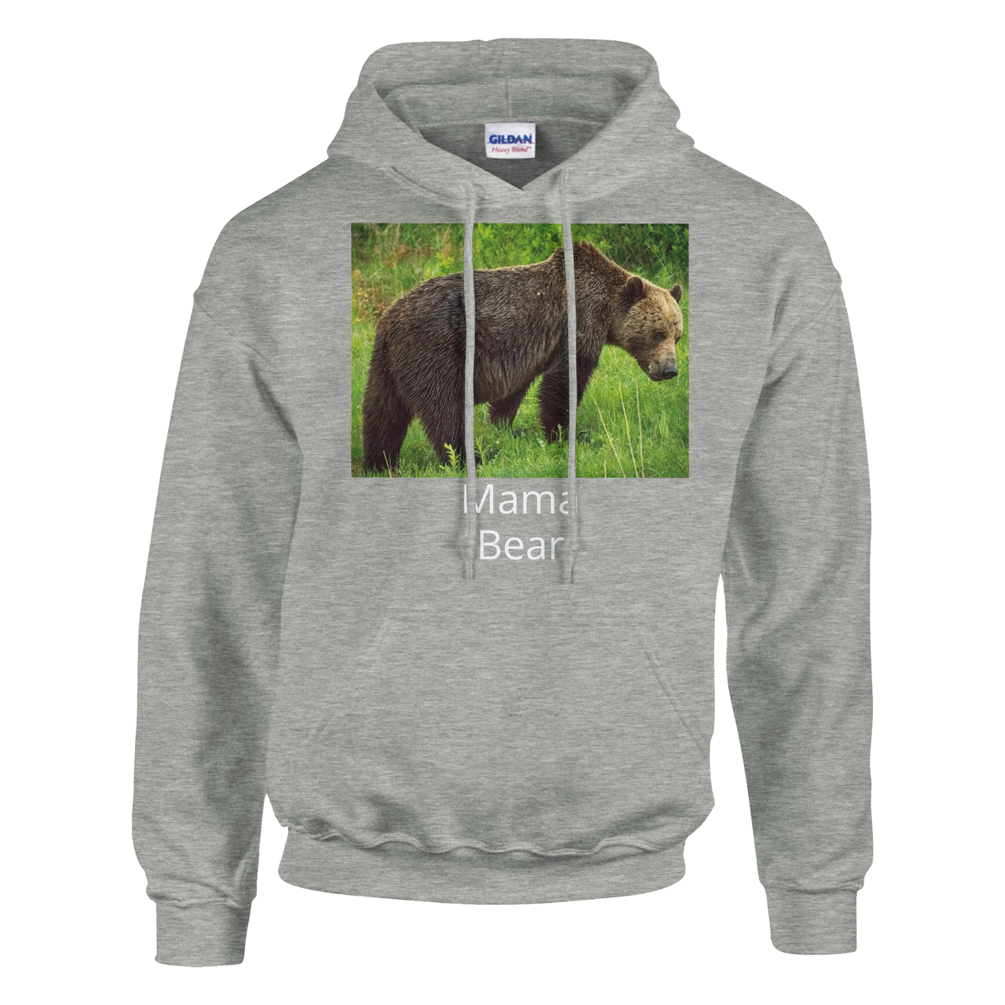 24ae3afd-e988-455c-8e4d-36d1d35a10bc