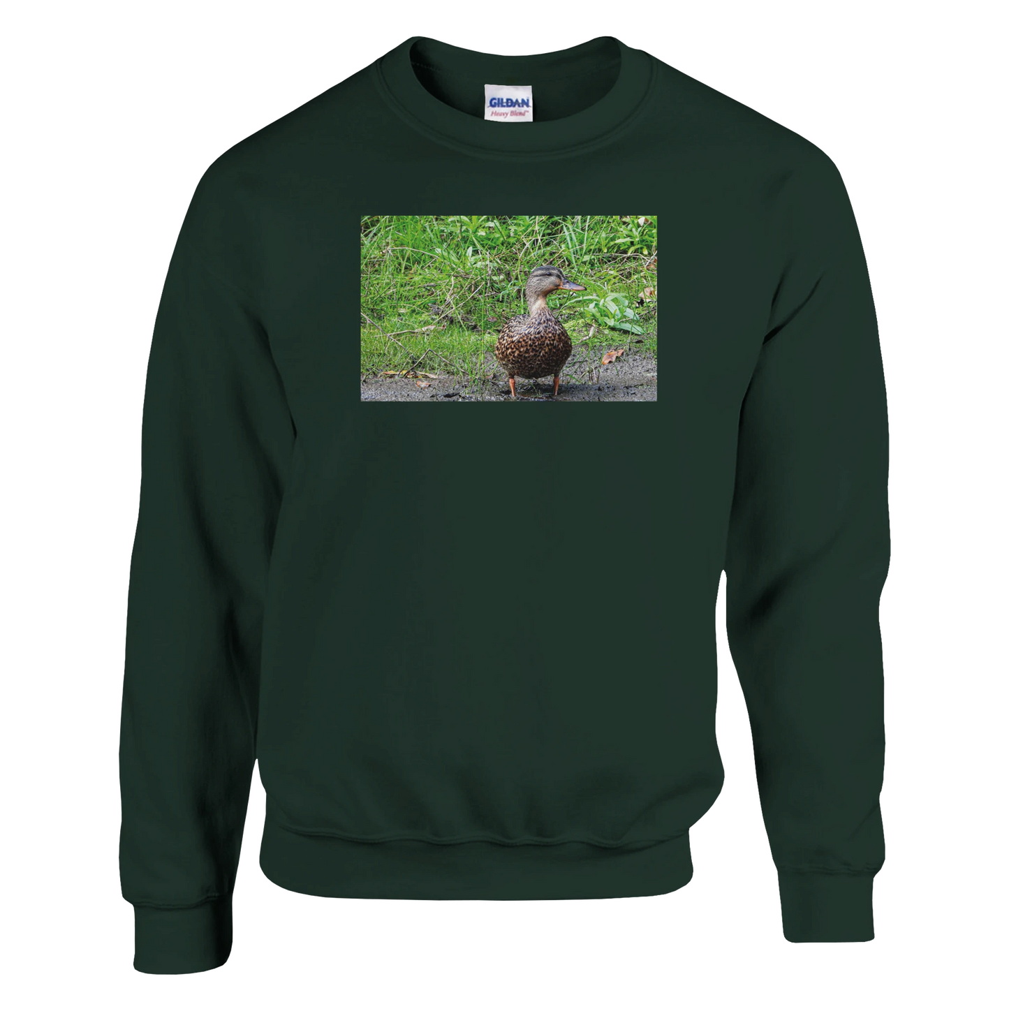 341c1e3f-176b-48bf-a398-8cc2a4633d24