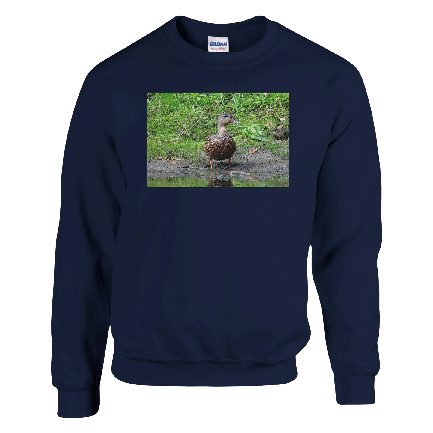 53f48be6-c6dc-4a9b-81db-3394d24b344e