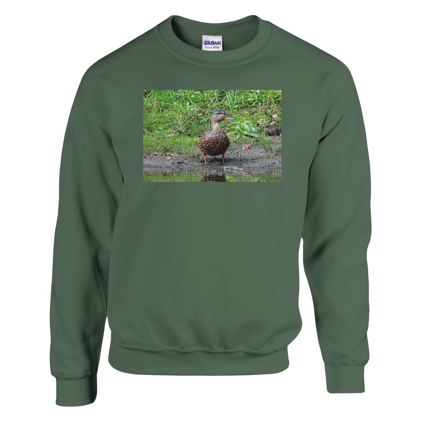 55f5ba2b-194c-495a-ab7f-bf8b4230faa0