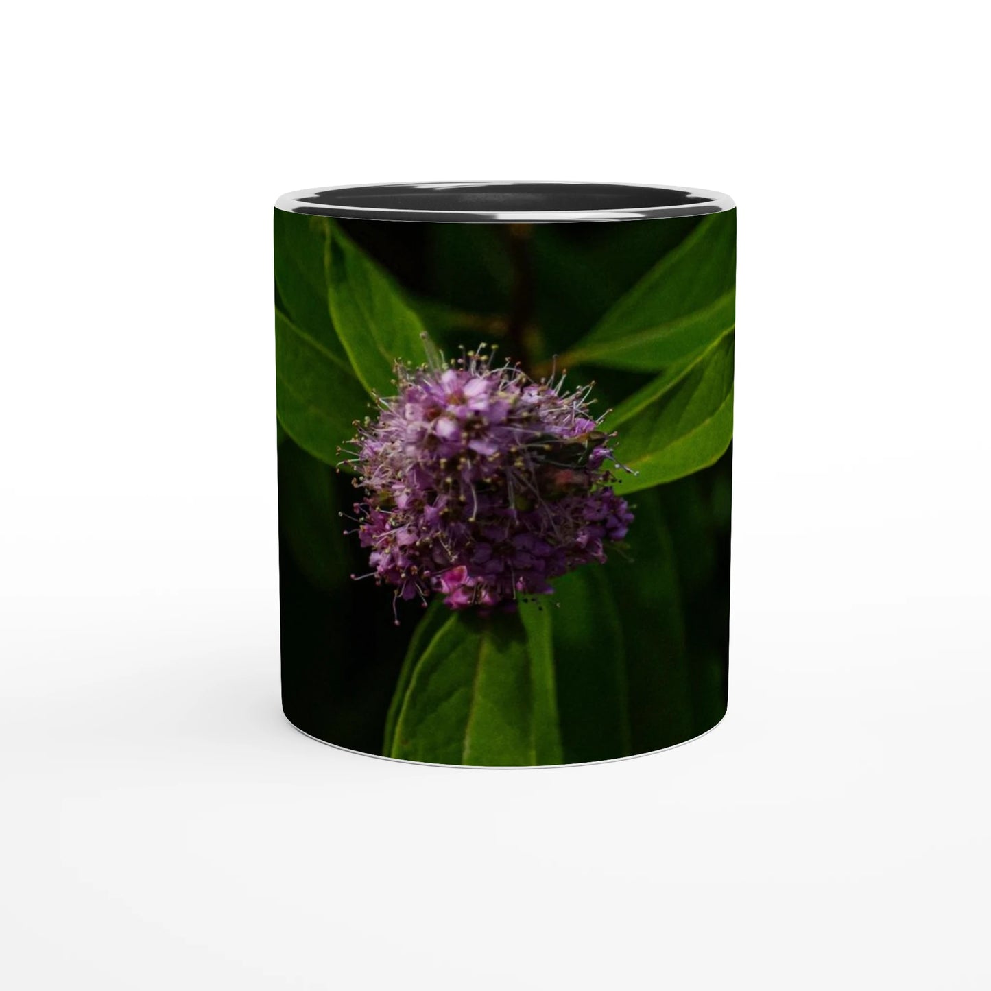 6850bb22-cecf-43b6-8ef3-2586d2e7c158