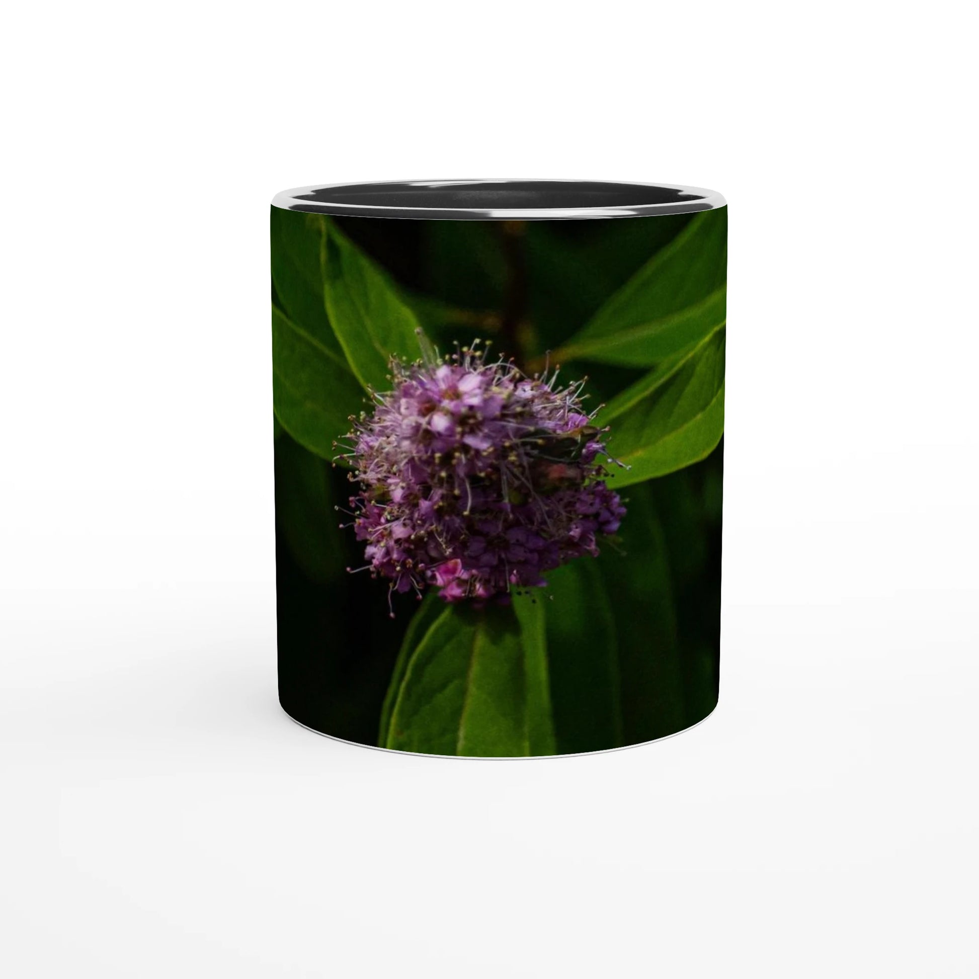 6850bb22-cecf-43b6-8ef3-2586d2e7c158