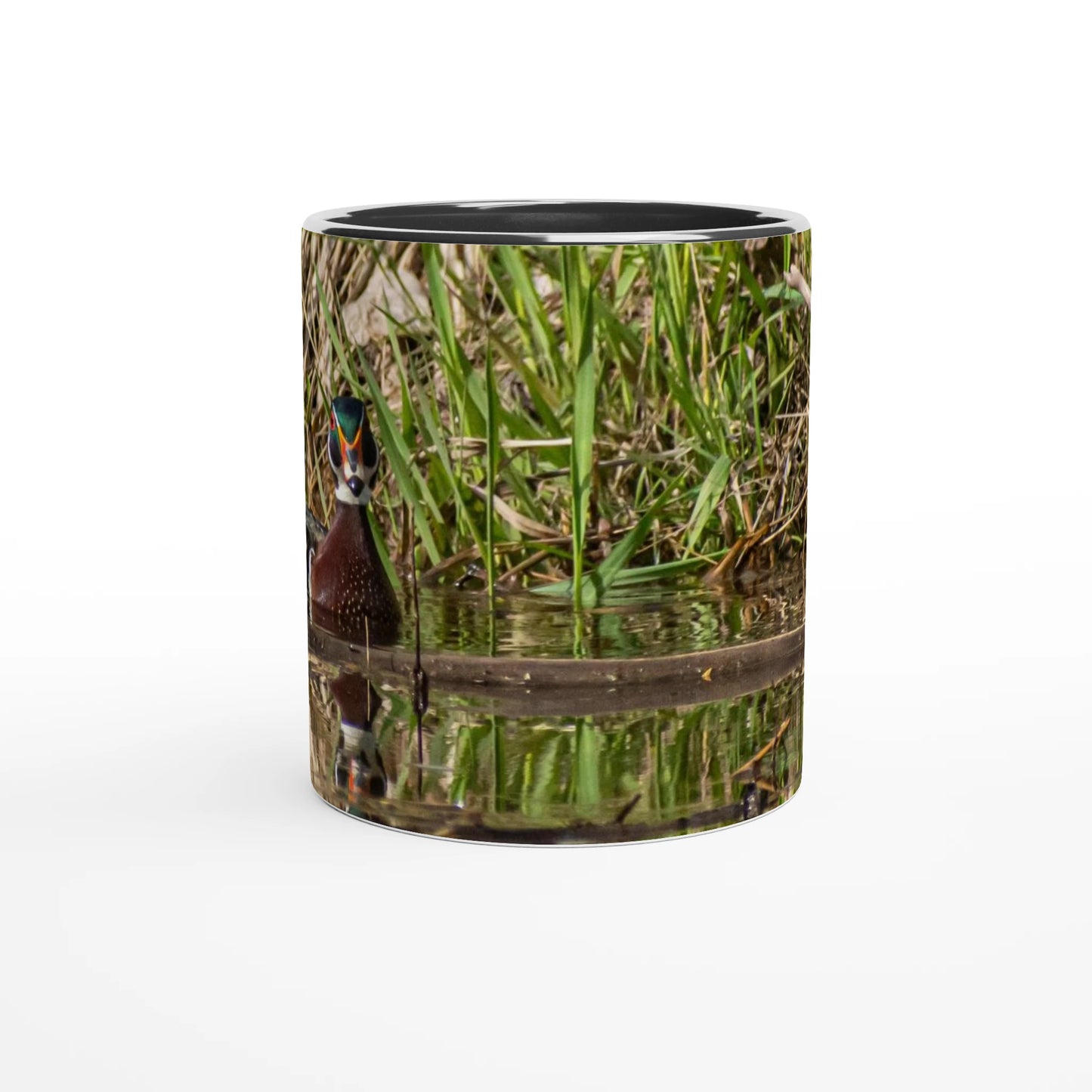 6cb0421c-5079-4c81-b4aa-cb23a1e383a3