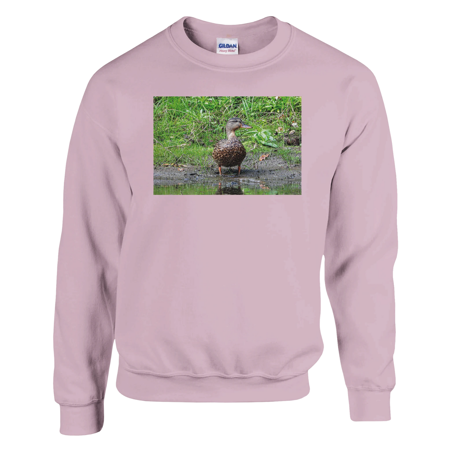 9bad19f2-abb8-4b2a-9fcb-030fa148884e