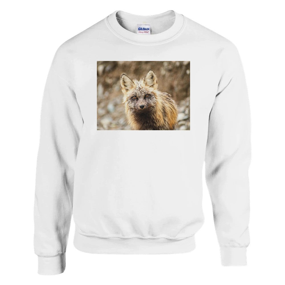 c28e4b56-6421-487f-997d-afa628ccad84