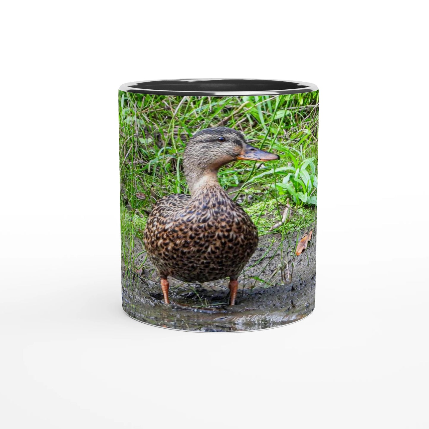 d1676b3d-d9aa-43be-bd7e-b688f12789b0