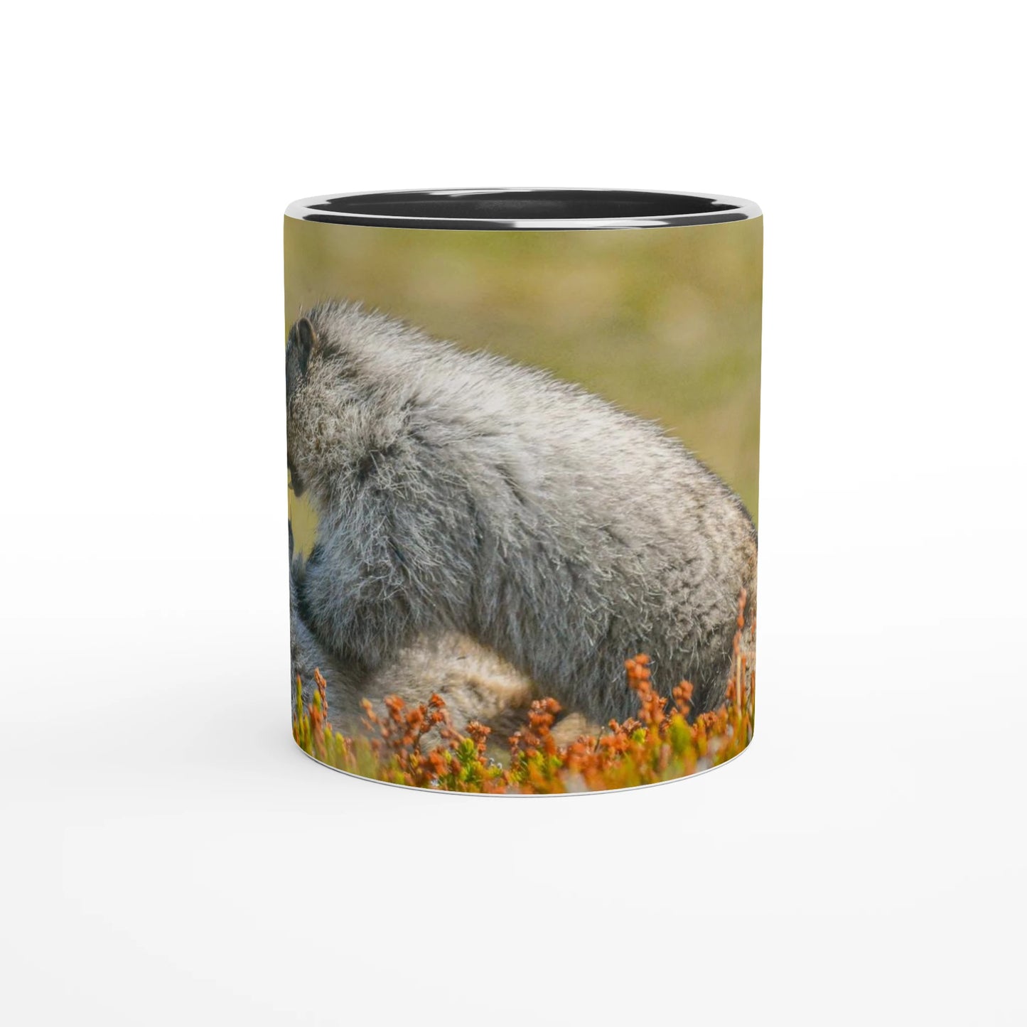 e6ba5e09-38a4-4ba3-826e-7da06d8e0fd4